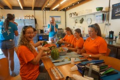 20140102_074401-Large