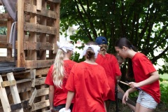 20250812_10290670-Large