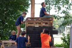 20250812_10354549-Large