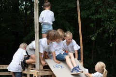 20250812_10410566-Large