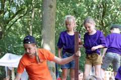 20250812_10484648-Large