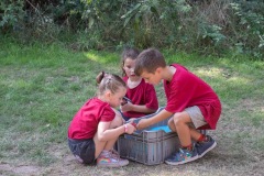 20250812_11033250-Large