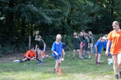 20250812_12361862-Large