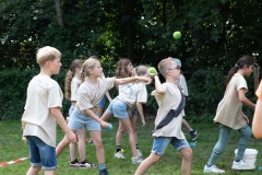 20250812_12390558-Large