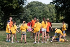 20250812_12422123-Large