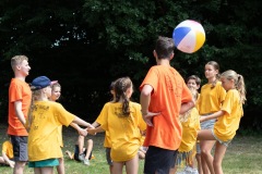 20250812_12424916-Large