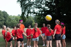 20250812_12432007-Large