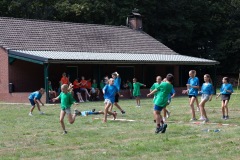 20250812_12435865-Large