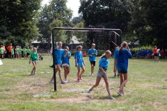 20250812_12452888-Large