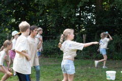 20250812_12472228-Large