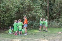 20250812_12575805-Large