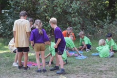 20250812_13012320-Large