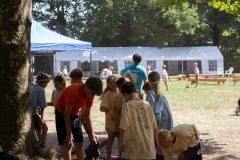 20250812_13014526-Large