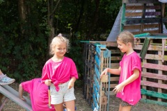 20250814_10355238-Large