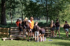 20250811_09011657-Large