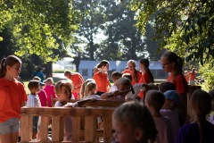 20250811_09112619-Large