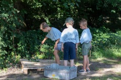 20250811_09180920-Large