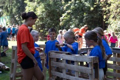 20250811_09190055-Large