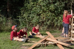 20250811_09255704-Large