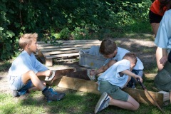 20250811_09283075-Large