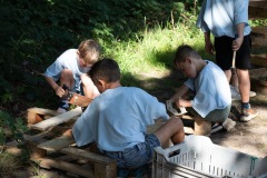 20250811_09375635-Large