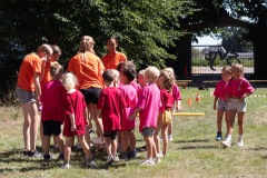 20250811_12433827-Large