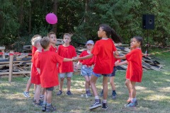 20250811_12551855-Large