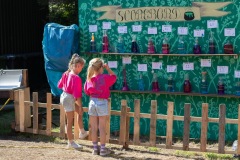 20250815_10525567-Large