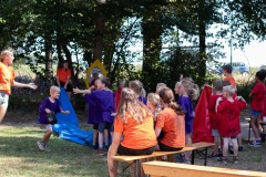 20250815_11075680-Large