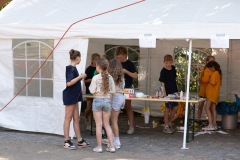 20250815_11080537-Large